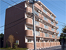 グレイスマンション/水戸･石川